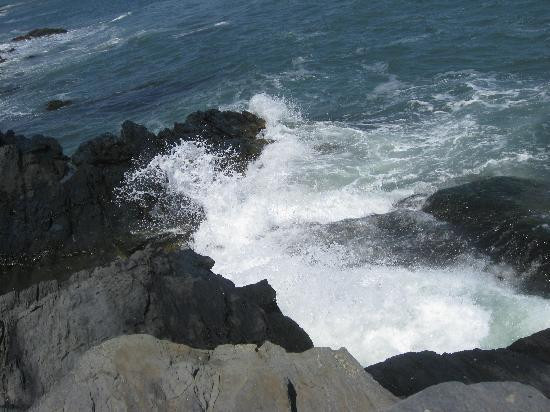 纽波特悬崖步道-纽波特必去景点