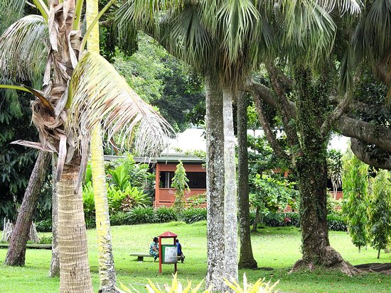 Thurston Garden-苏瓦必去景点