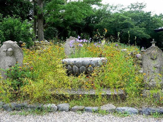 元兴寺-奈良市必去景点