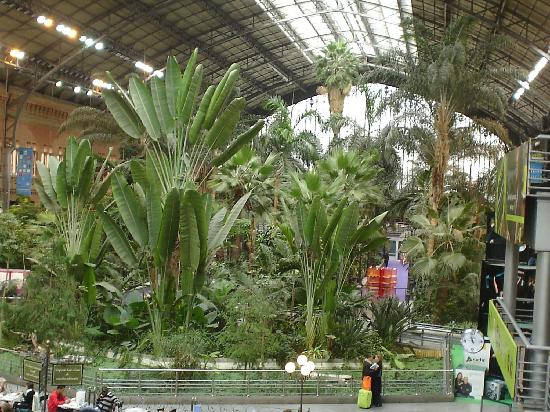 阿托查火车站-马德里必去景点