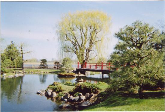 Normandale Japanese Garden-布卢明顿必去景点