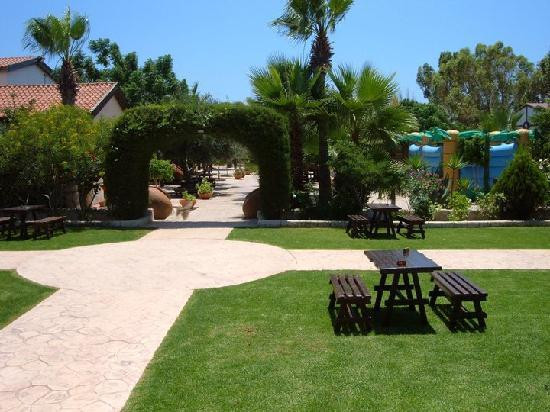 Camel Park-玛佐托斯必去景点