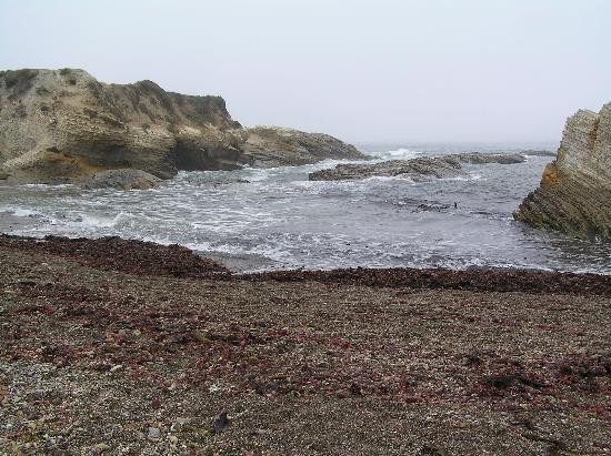 Montana de Oro State Park景点图片