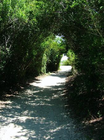 Hammocks Beach State Park景点图片