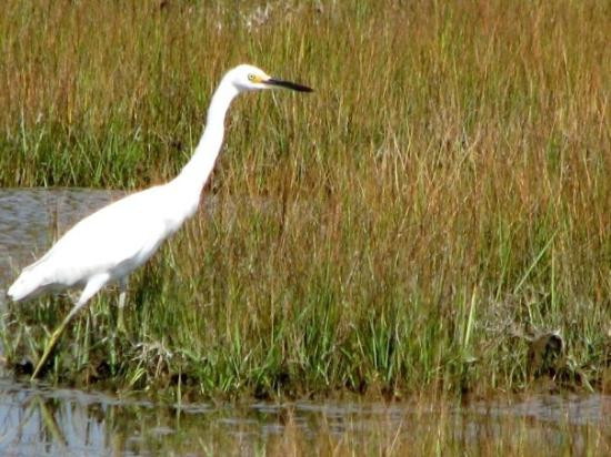Hammonasset Beach State Park-麦迪逊必去景点