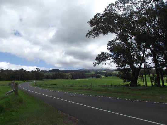 Maui Easy Riders-芭雅必去景点