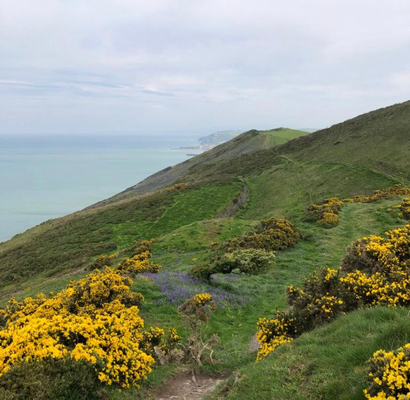 Ceredigion Coast Path-阿伯里斯特威斯必去景点