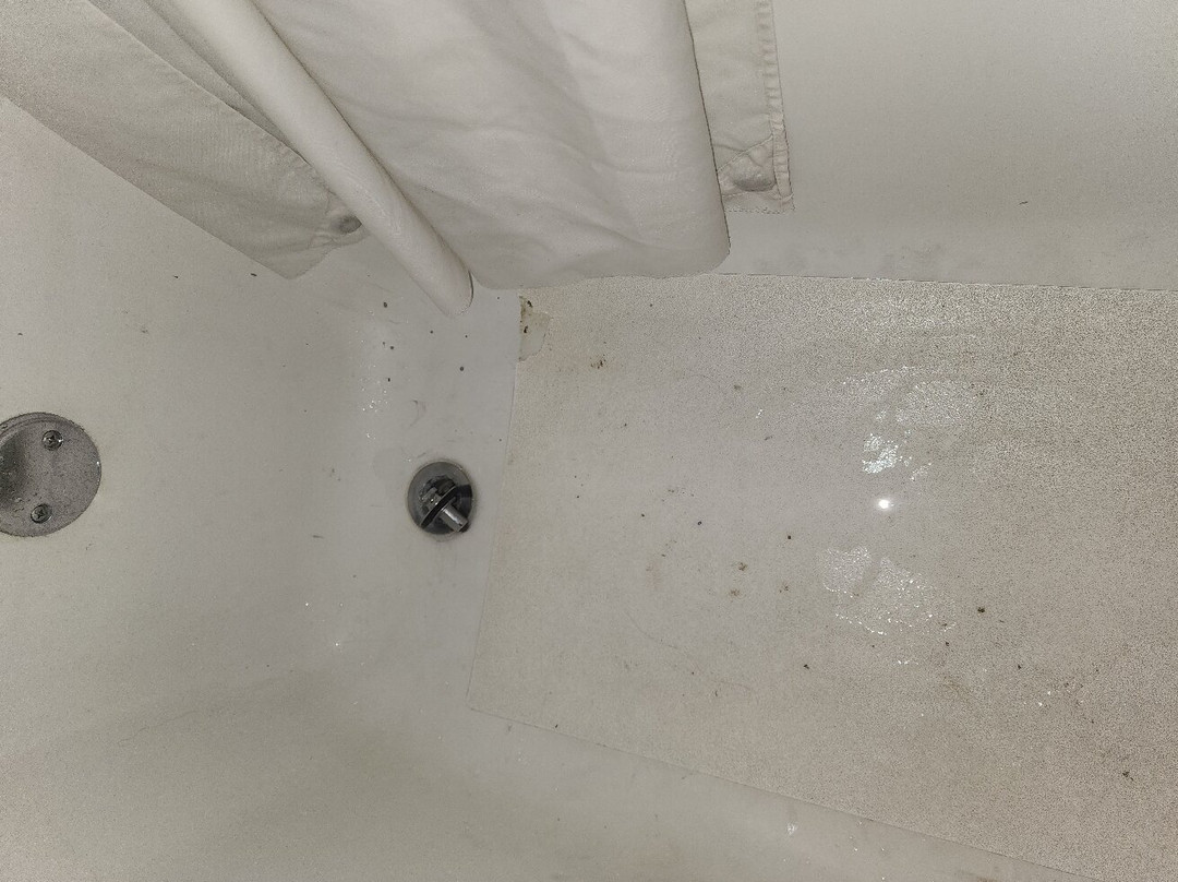 Quality Inn Encinitas Near Legoland主图