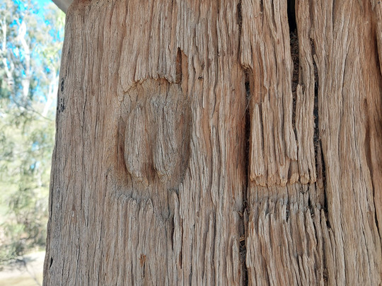 One Ton Post-Mungindi必去景点