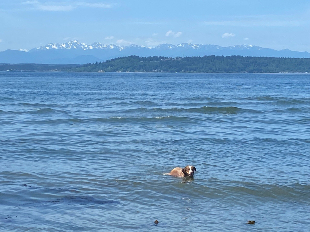 Marina Beach Park-埃德蒙兹必去景点