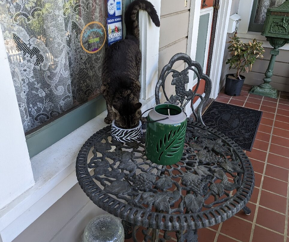 Bradford Place Inn and Gardens主图