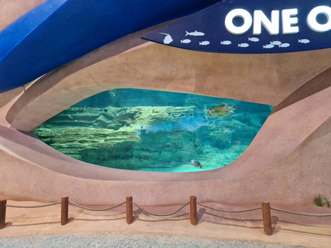 2024年5月Seaworld Yas Island, Abu Dhabi景点攻略-Seaworld Yas Island, Abu ... Nike air max 97 women's shoes