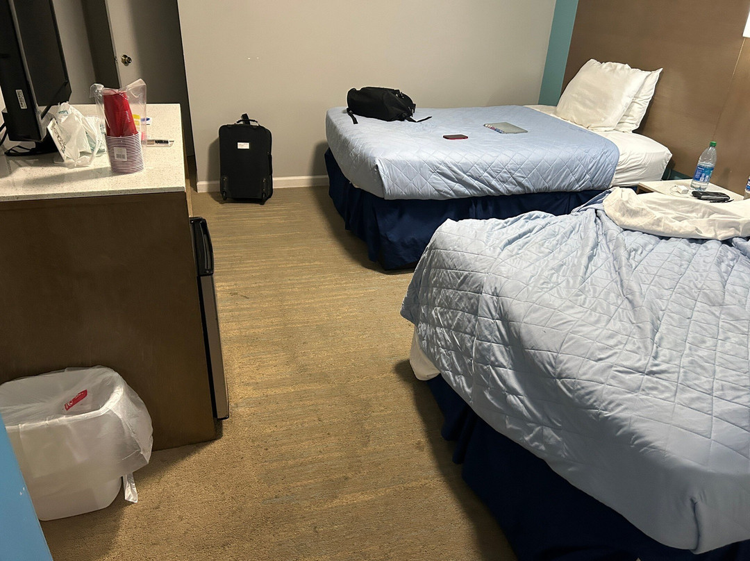 The Sand Dollar Motel主图