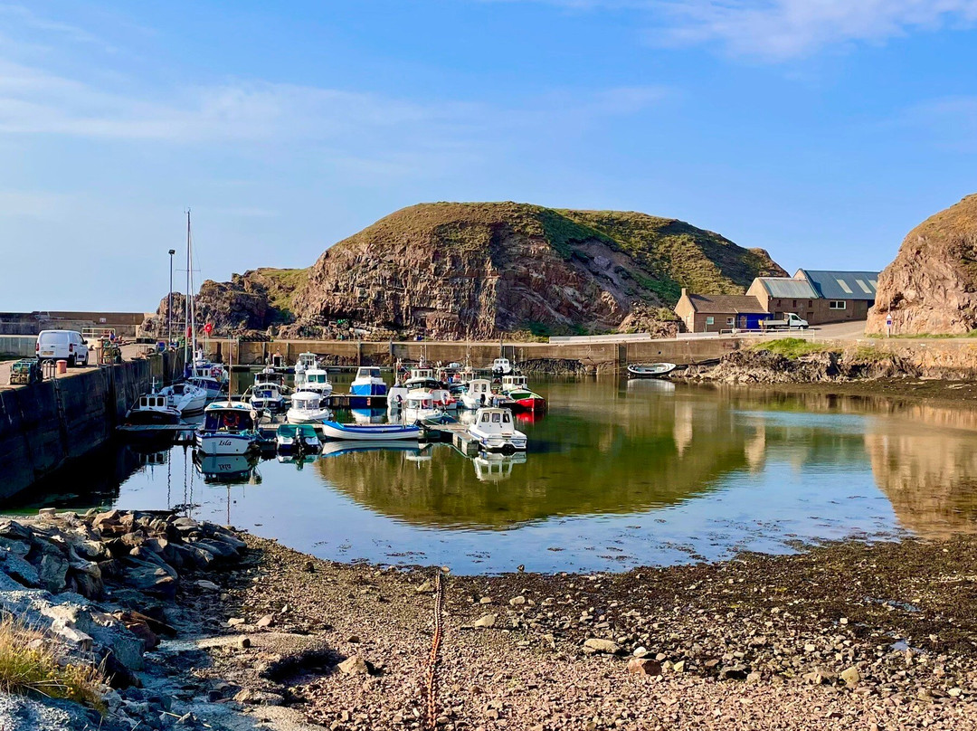 Portknockie Harbour景点图片