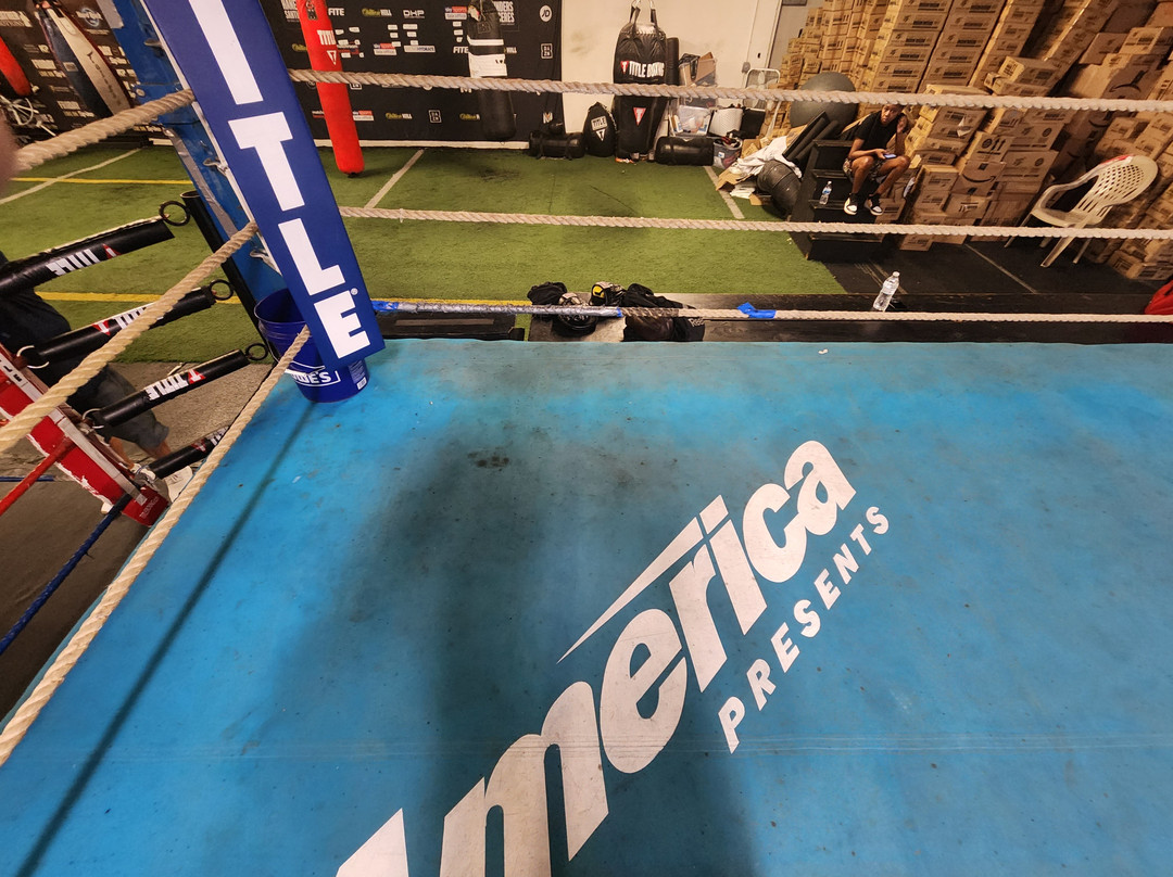 Las Vegas Fight Shop-拉斯维加斯必去景点