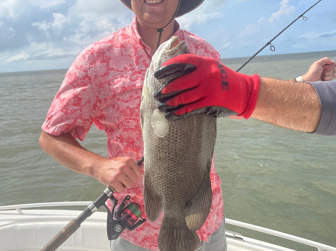 Apalachicola Bay景点图片