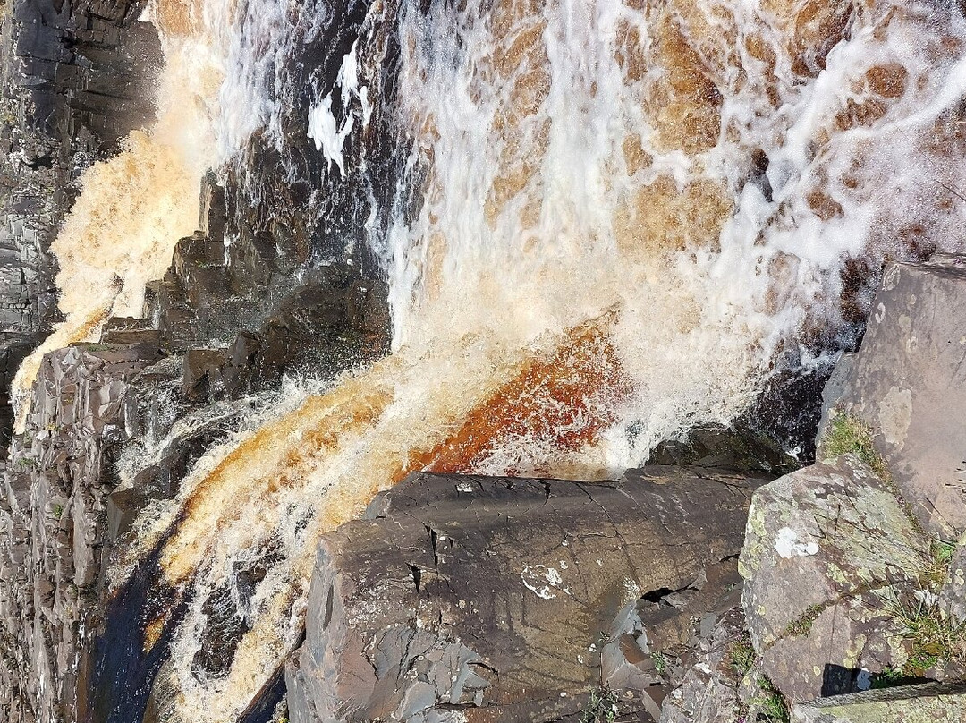 Bowlees Visitor Centre-Barnard Castle必去景点
