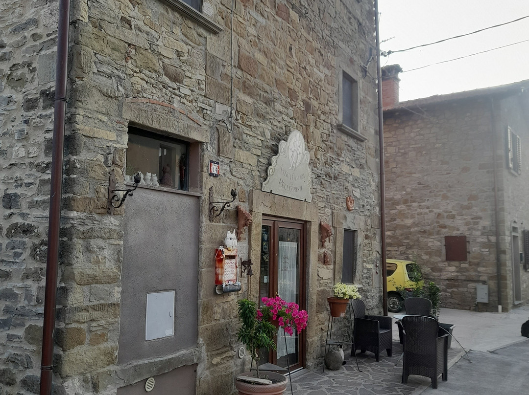 Antica Dimora del Pellegrino主图
