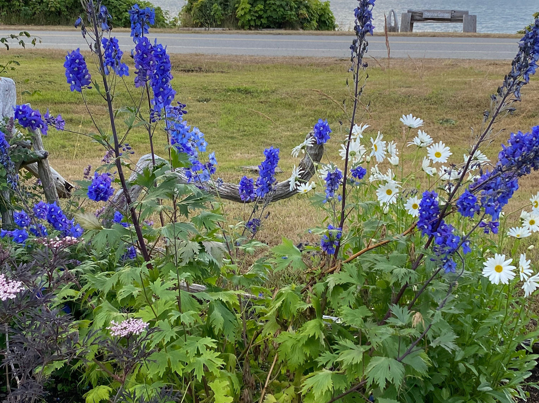 Bayview Garden - Oceanfront Guesthouse主图