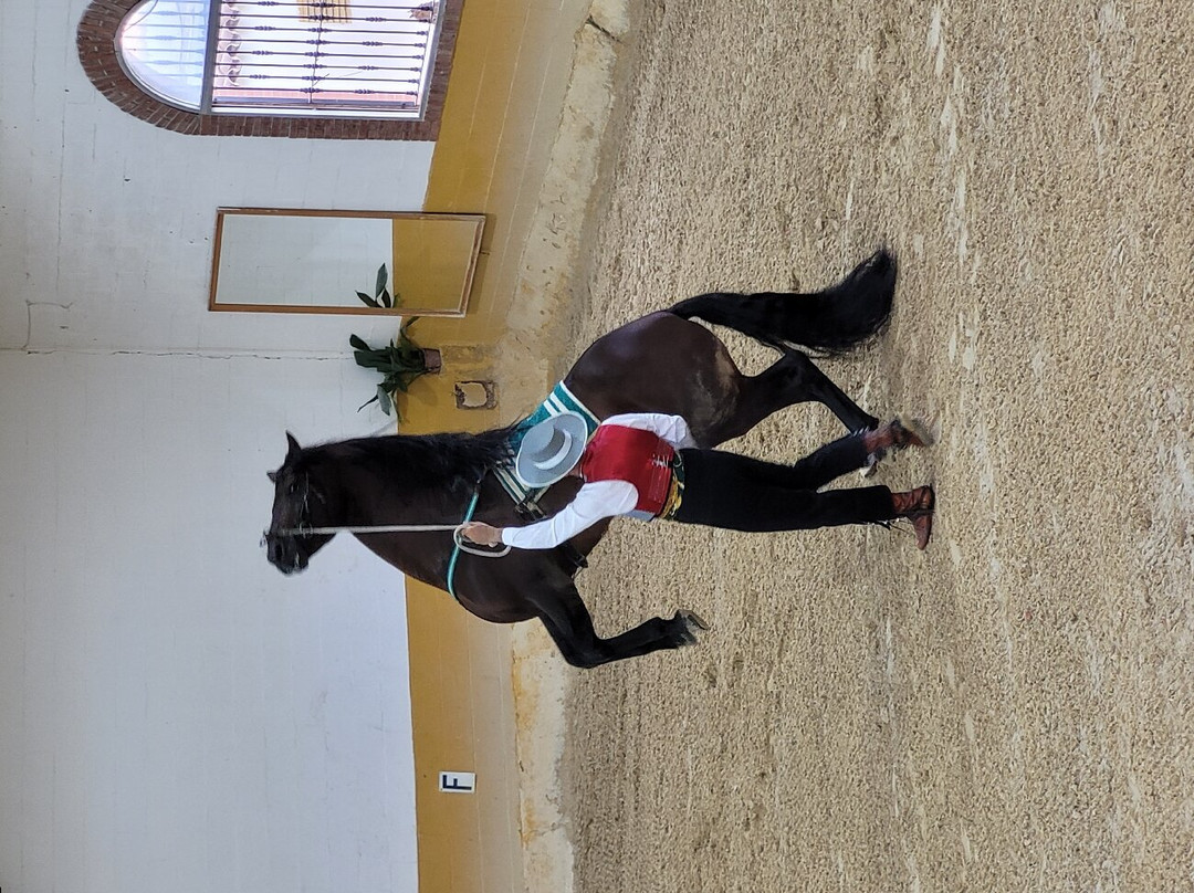 Centro de Equitacion El Ranchito-托雷莫里诺斯必去景点