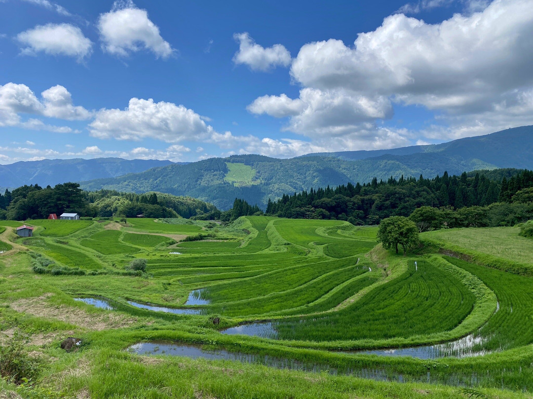 Terrace Rice Field-养父市必去景点