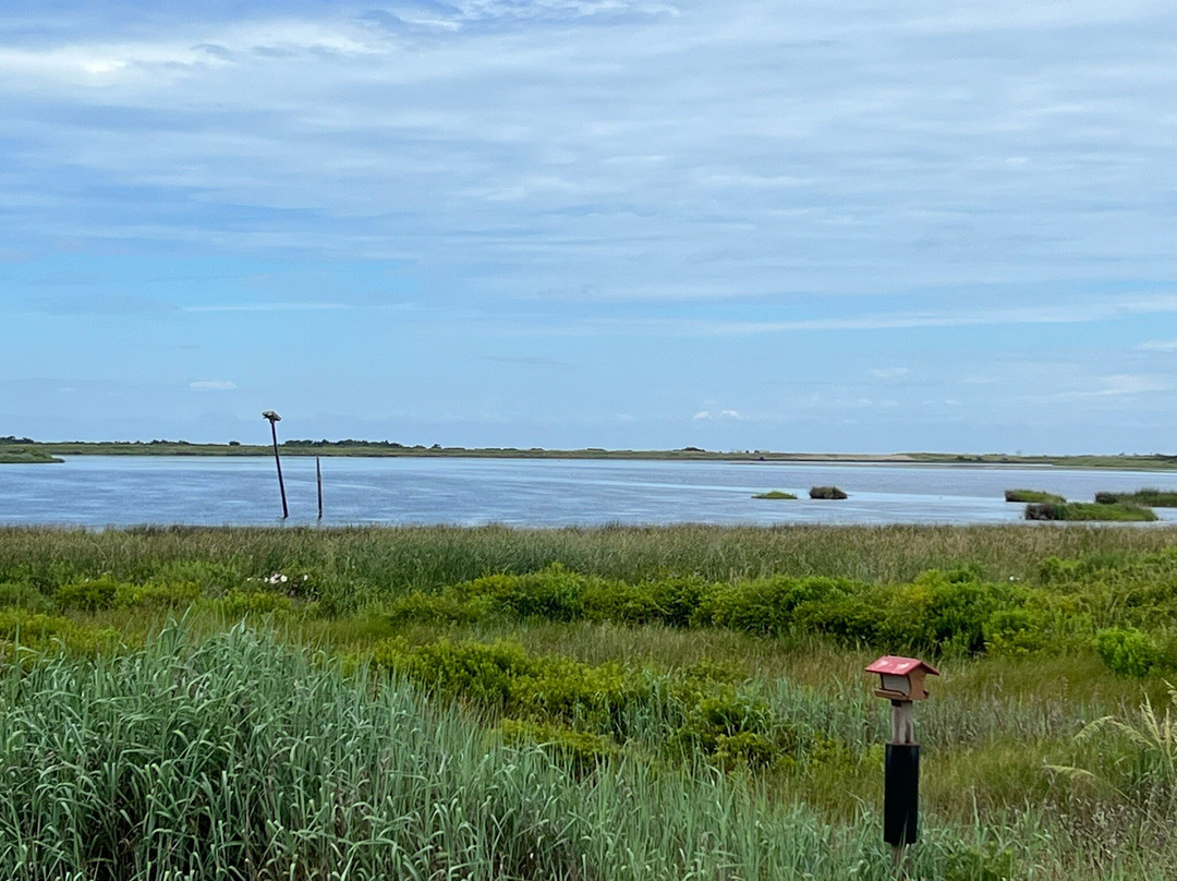 Pea Island National Wildlife Refuge景点图片