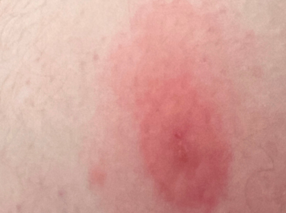 The Sturgis Motel主图