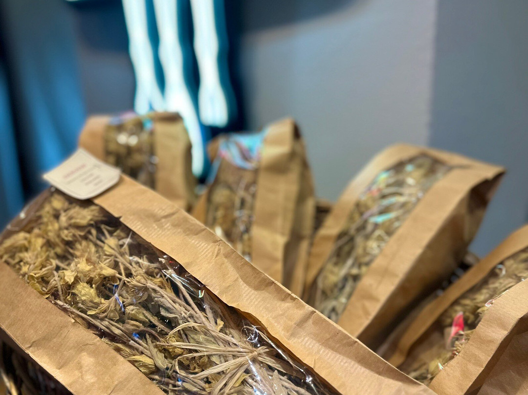 Albanian Gourmet-地拉那必去景点