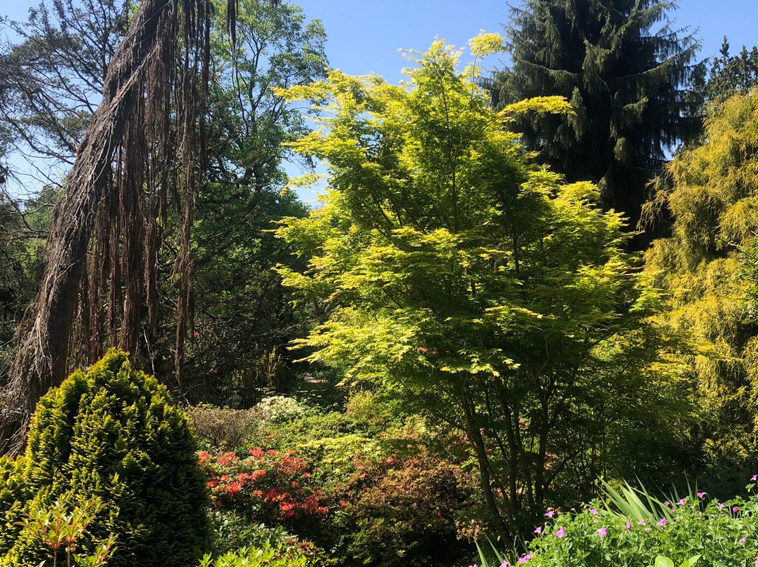弗莱彻莫斯公园和植物园-曼彻斯特必去景点