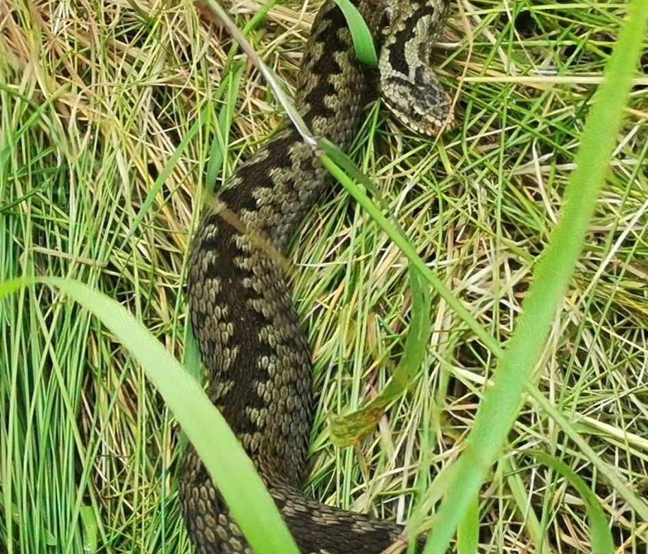 Scarborough to Whitby Rail Trail-斯卡伯勒必去景点