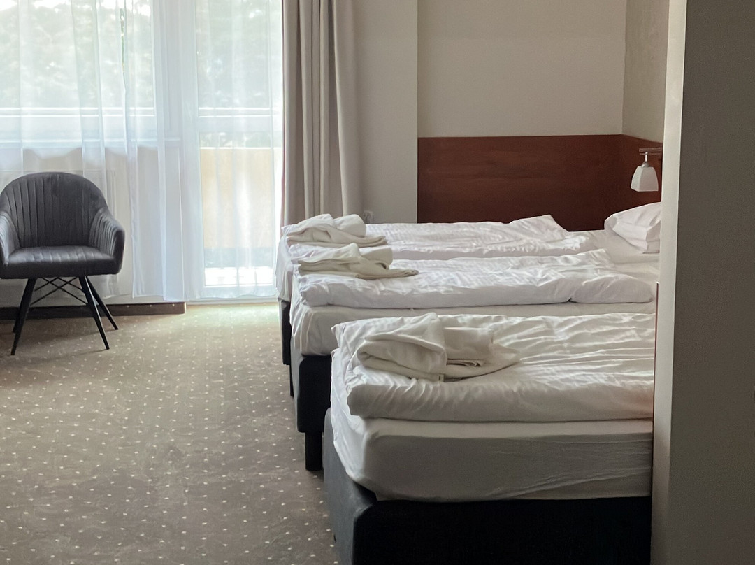 Vestina Welness & SPA主图