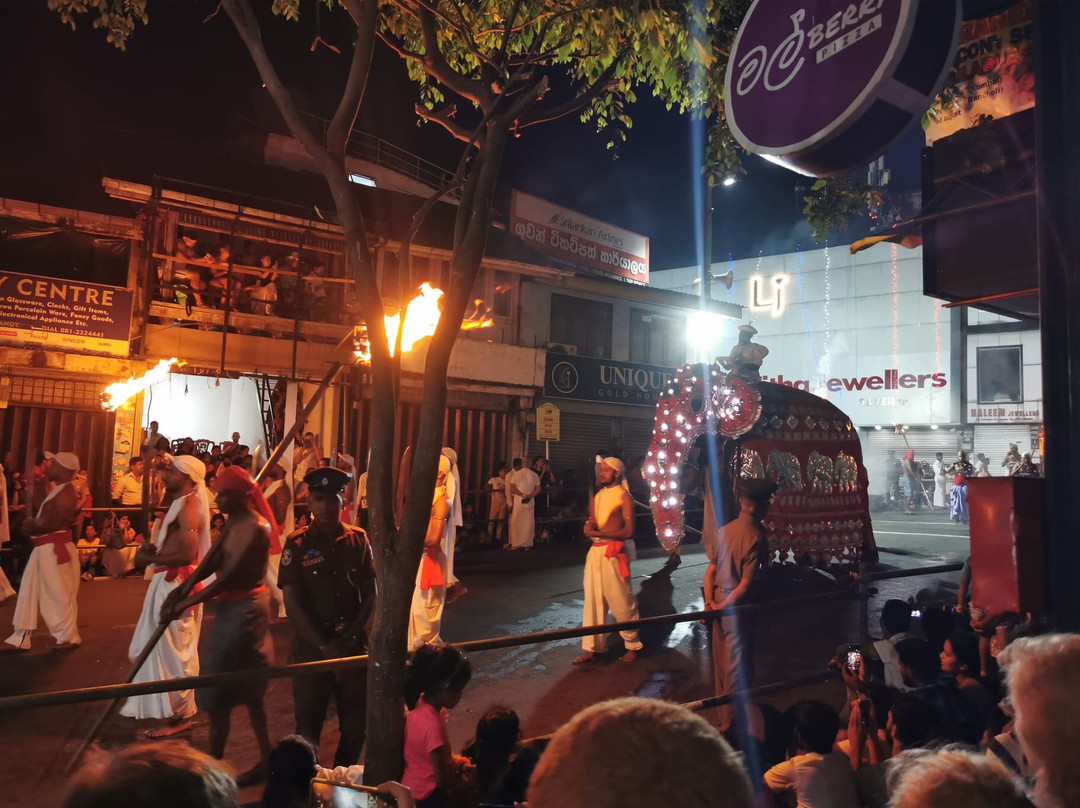 Ceylon Walkers景点图片