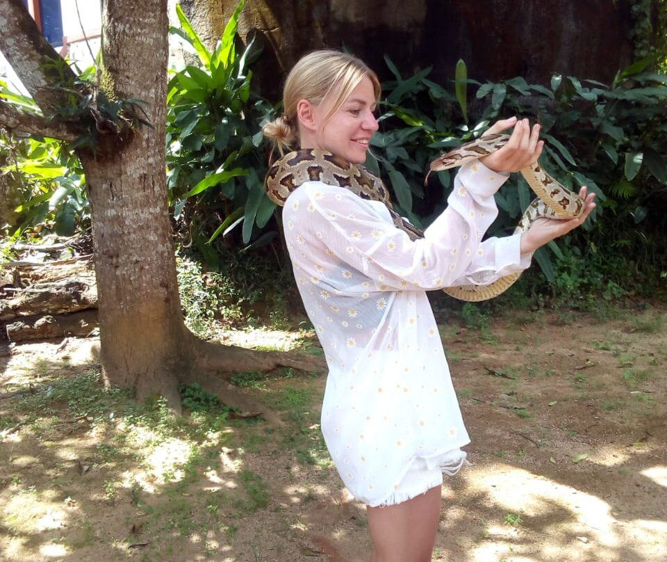 Snake Farm Thelijjawila景点图片