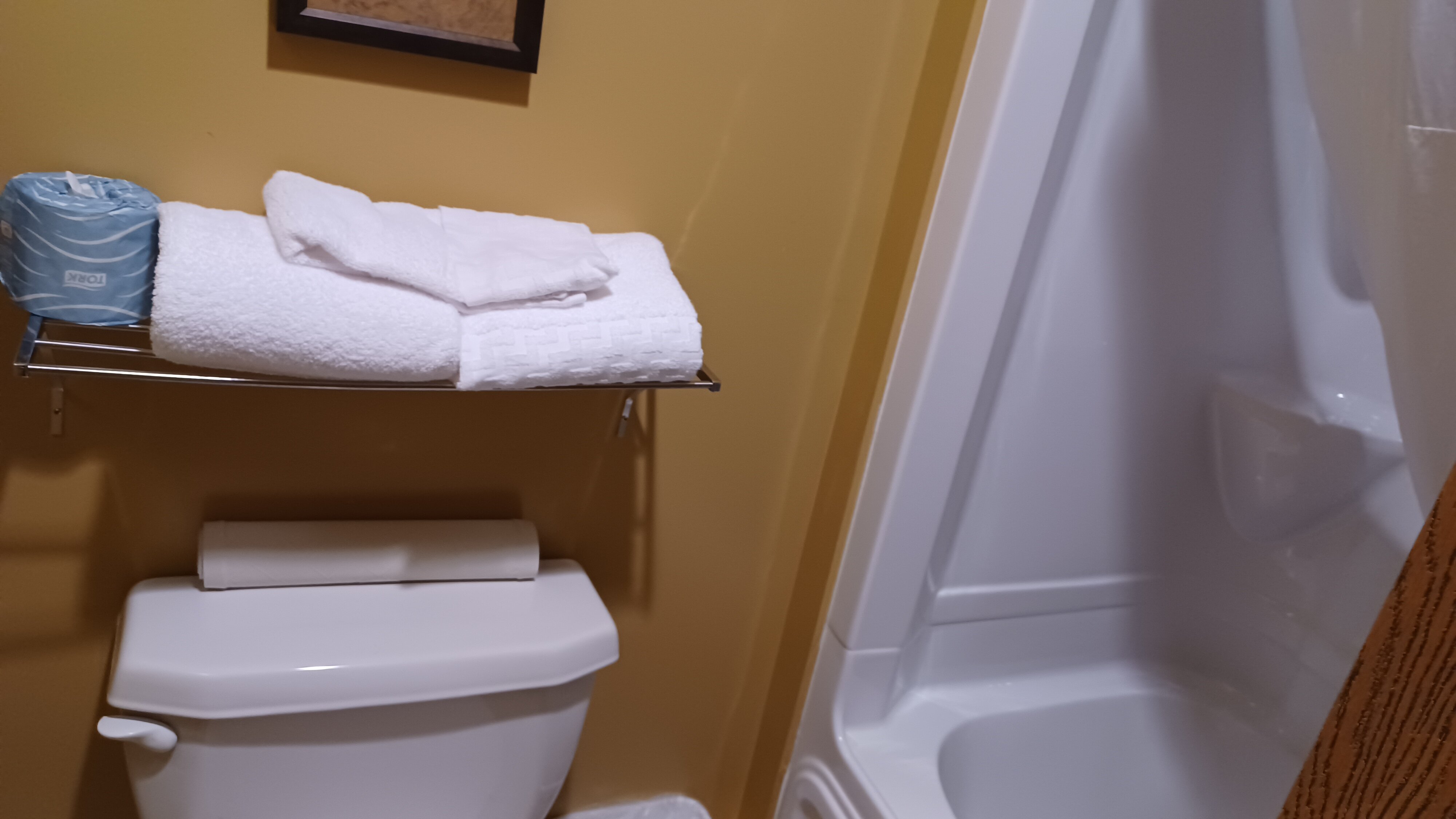 Best Western Plus Grand-Sault Hotel & Suites-浴室