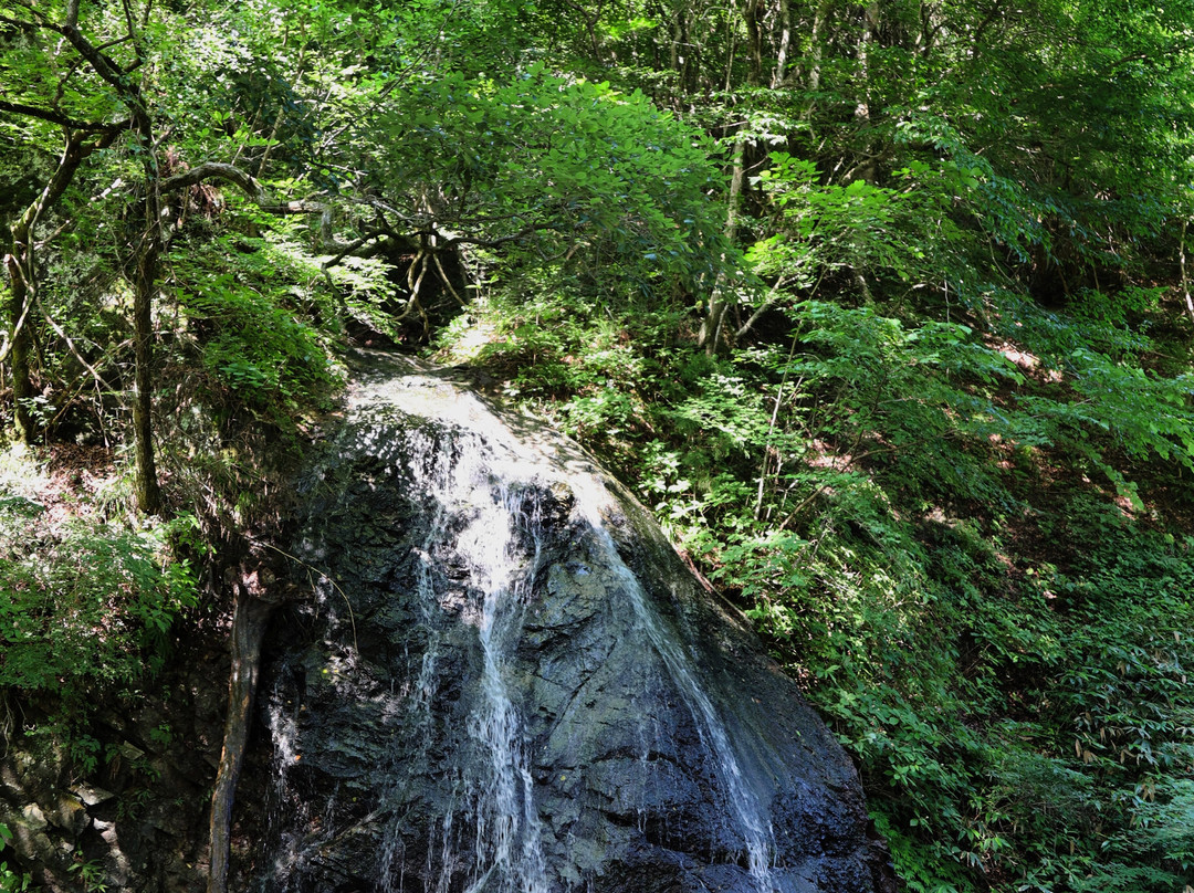 Mao Falls