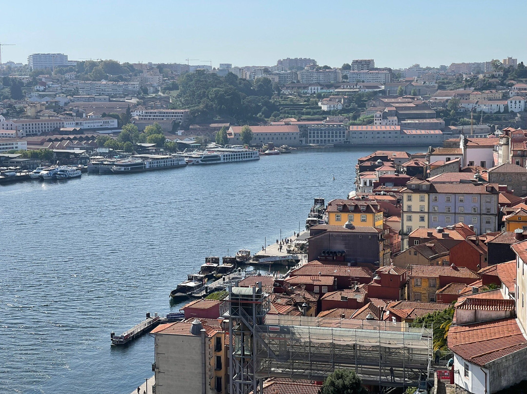 Bluedragon Porto City Tours景点图片