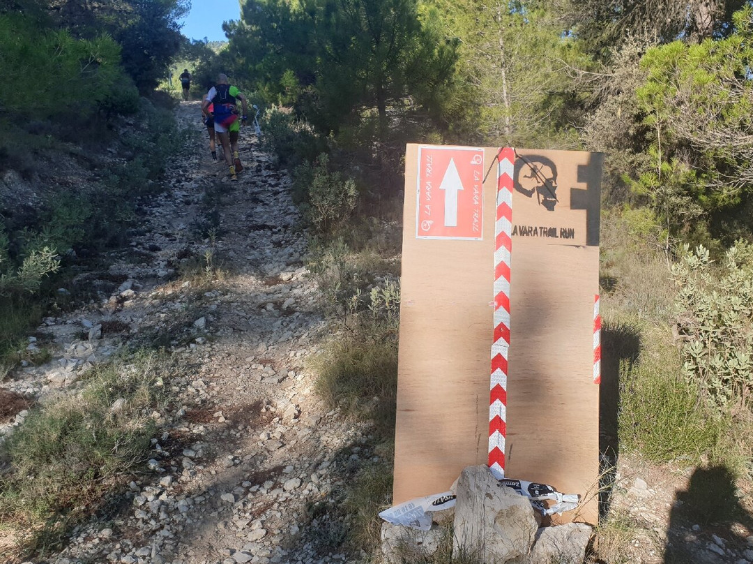 Pico del Buitre-Moratalla必去景点