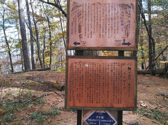 Mt. Kumotori-奥多摩町必去景点