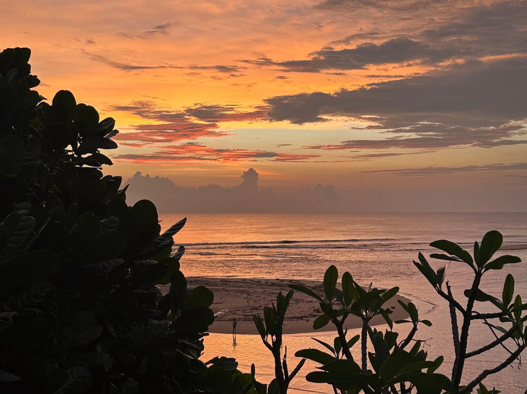 The Postcard Galle主图