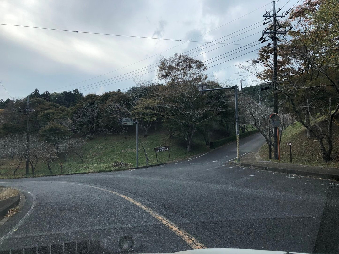 Chiba Otaki Residents Forest-大多喜町必去景点
