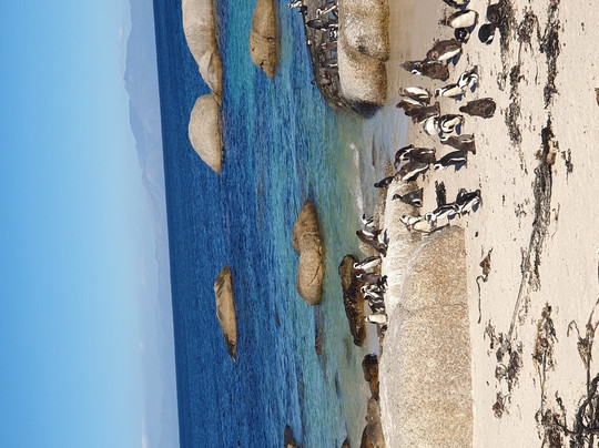 Kenzi Travel & Tours-开普敦中心区必去景点