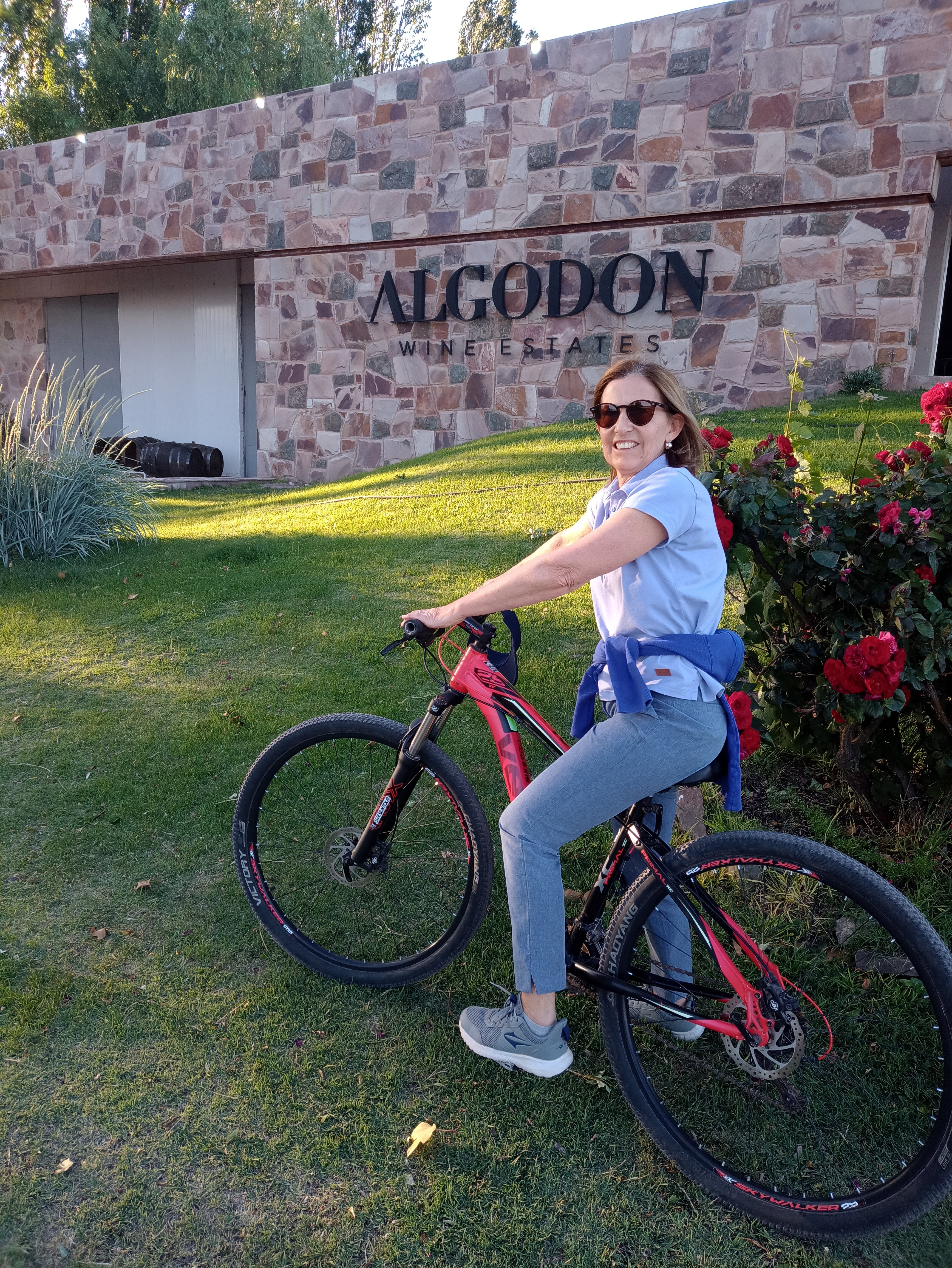 Algodon Wine Estates-官方