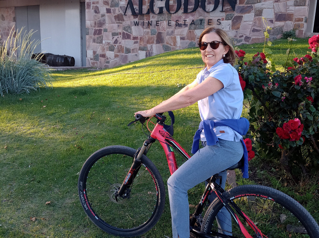 Algodon Wine Estates主图