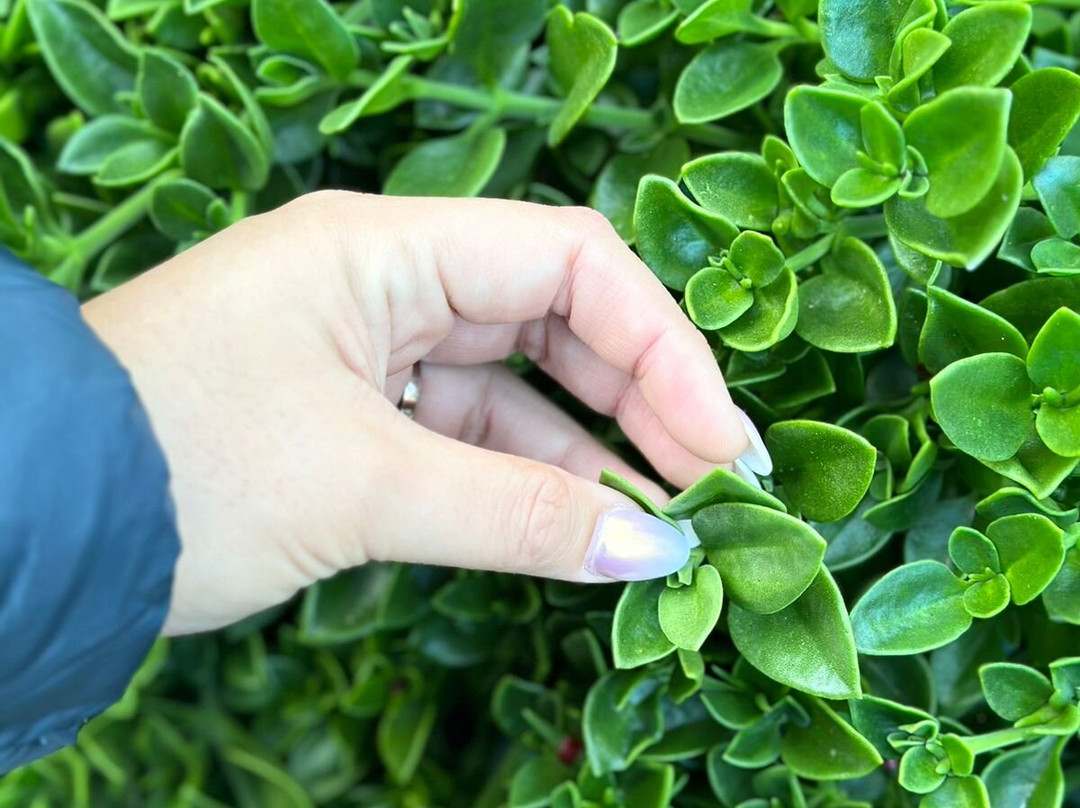 Sierra Lago Resort & Spa主图