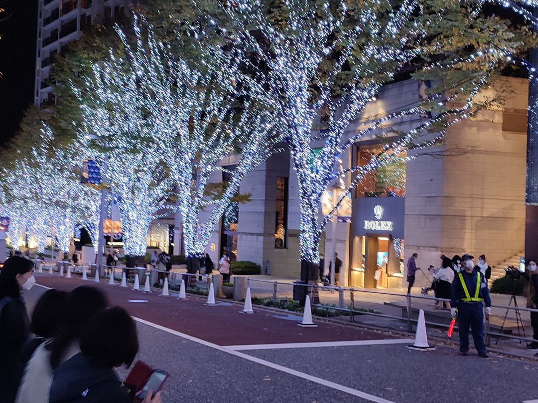 Roppongi Keyakizaka Dori-Roppongi必去景点