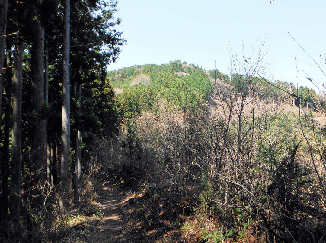 Mt. Hinode-日之出町必去景点