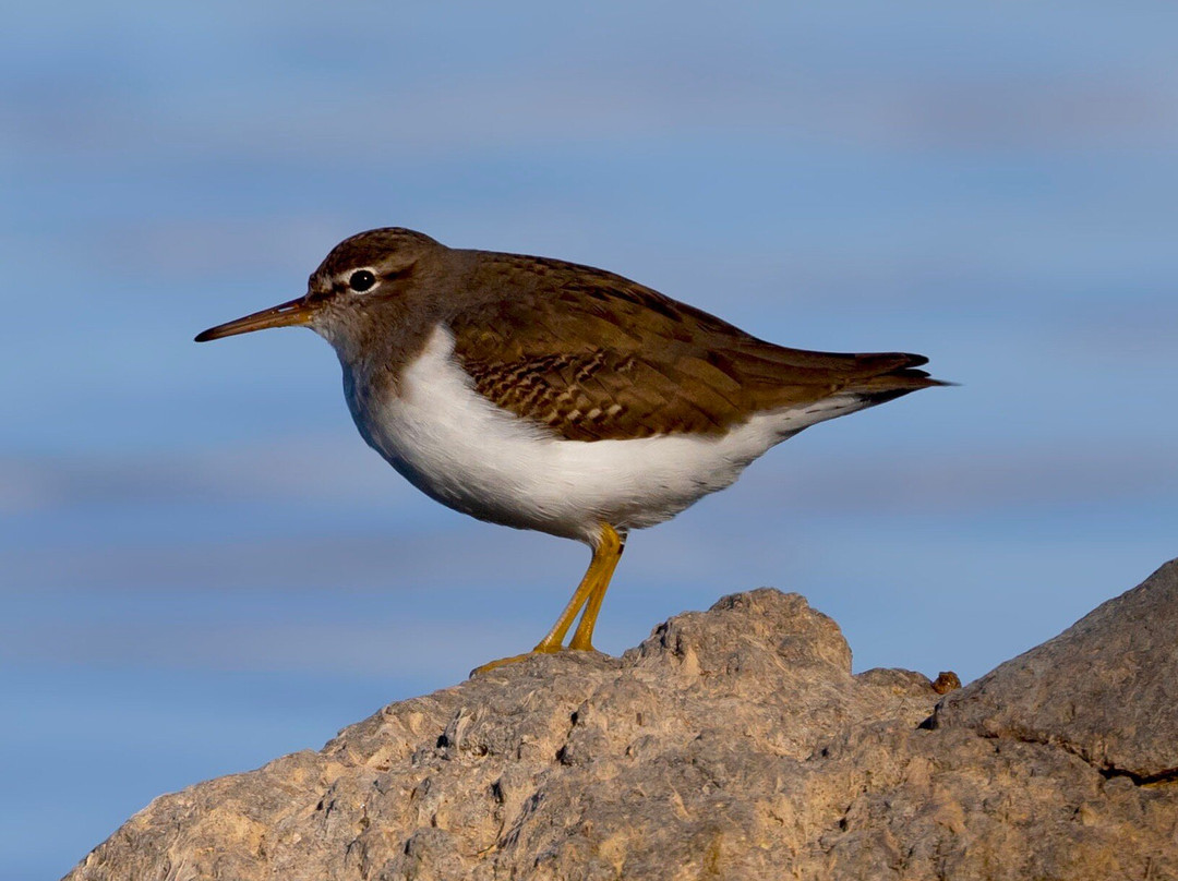 Frank G. Bonelli Regional Park-圣迪马斯必去景点