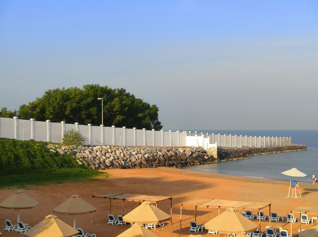 阿斯阿尔凯麦海滩酒店主图