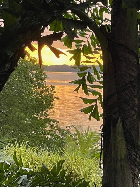 Dolphin Bay Hideaway主图