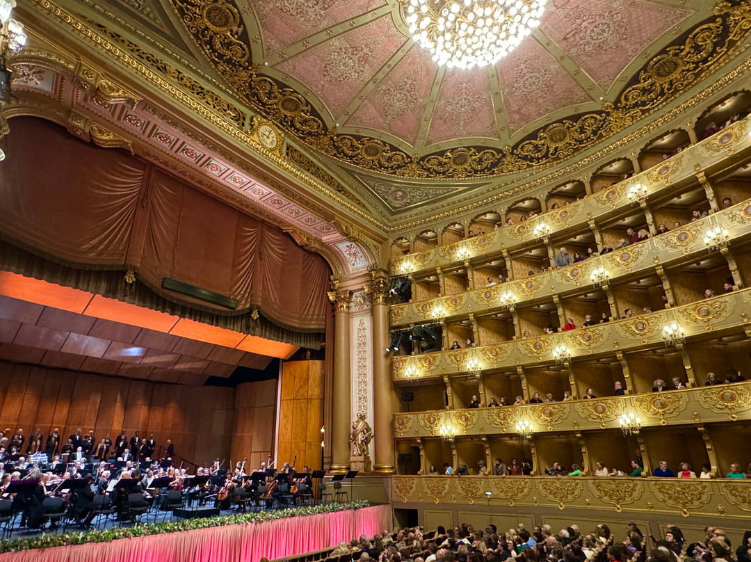 Teatro Nacional de São Carlos景点图片
